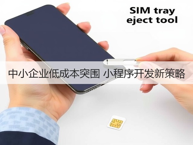 中小企业低成本突围 小程序开发新策略(图3)