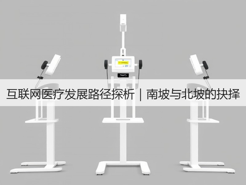 互联网医疗发展路径探析｜南坡与北坡的抉择