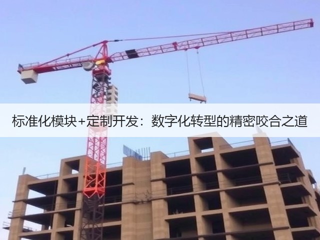 标准化模块+定制开发：数字化转型的精密咬合之道(图3)
