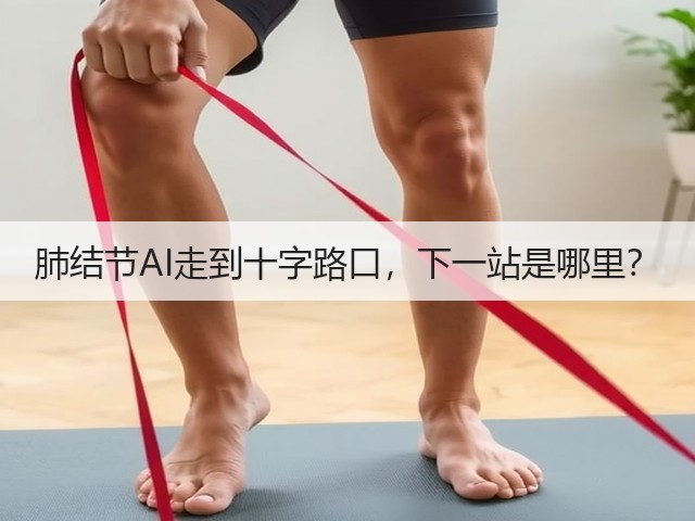 肺结节AI走到十字路口,下一站是哪里?(图2) 肺结节AI走到十字路口,下一站是哪里?(图2)