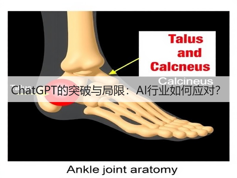 ChatGPT的突破与局限：AI行业如何应对？