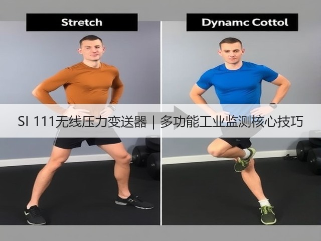 SI 111无线压力变送器｜多功能工业监测核心技巧(图2)
