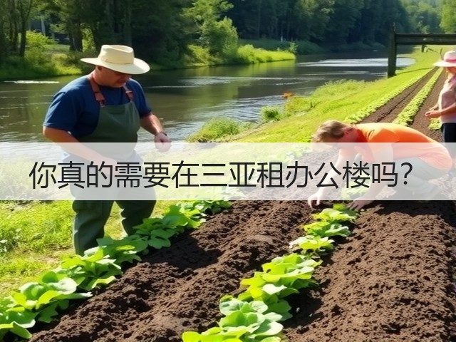 你真的需要在三亚租办公楼吗？(图3)