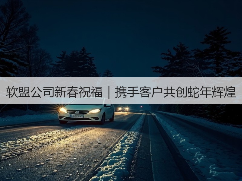 软盟公司新春祝福｜携手客户共创蛇年辉煌