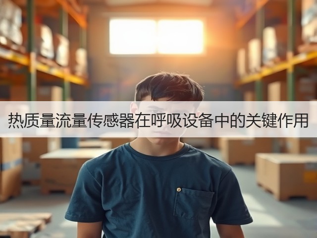 热质量流量传感器在呼吸设备中的关键作用(图2)