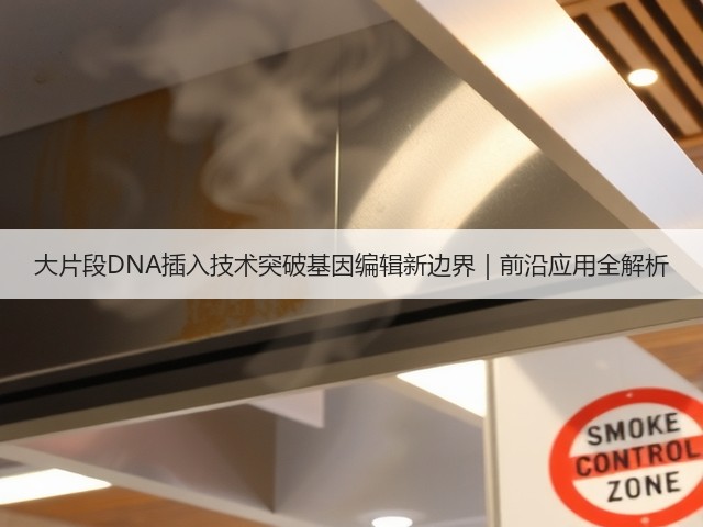 大片段DNA插入技术突破基因编辑新边界|前沿应用全解析(图2) 大片段DNA插入技术突破基因编辑新边界|前沿应用全解析(图2)