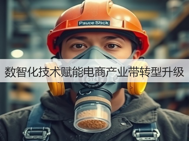 数智化技术赋能电商产业带转型升级(图2)