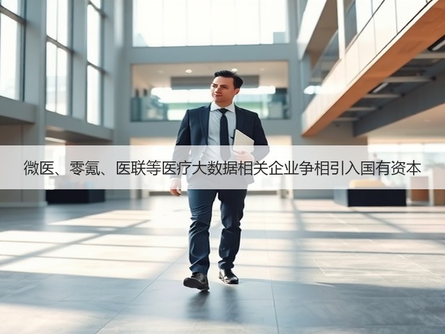 微医、零氪、医联等医疗大数据相关企业争相引入国有资本(图1)