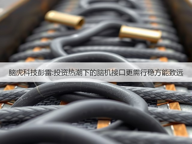 脑虎科技彭雷:投资热潮下的脑机接口更需行稳方能致远(图1)