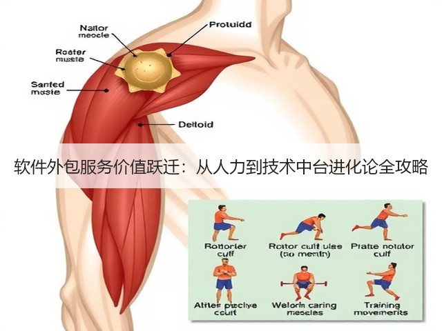 软件外包服务价值跃迁:从人力到技术中台进化论全攻略(图2) 软件外包服务价值跃迁:从人力到技术中台进化论全攻略(图2)