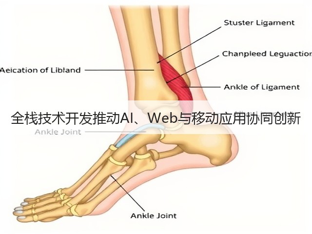 全栈技术开发推动AI、Web与移动应用协同创新(图3)