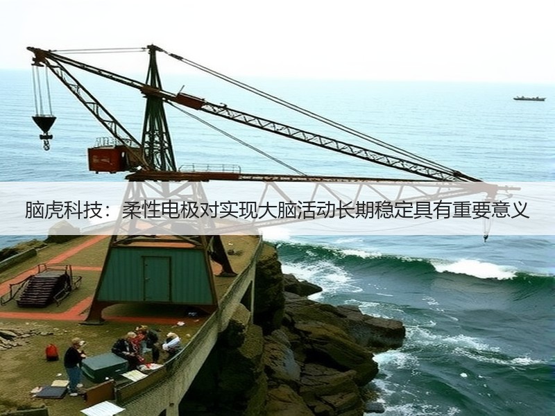 脑虎科技：柔性电极对实现大脑活动长期稳定具有重要意义