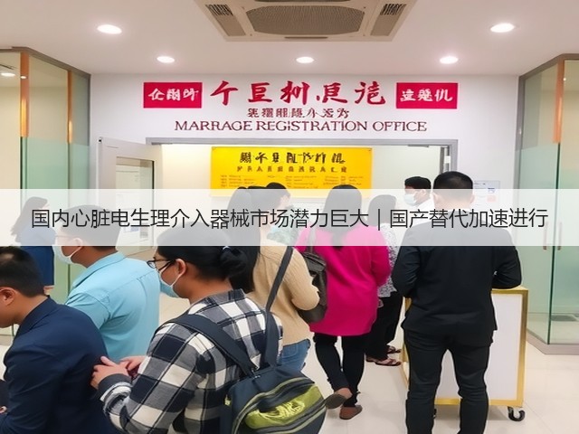 国内心脏电生理介入器械市场潜力巨大|国产替代加速进行(图2) 国内心脏电生理介入器械市场潜力巨大|国产替代加速进行(图2)