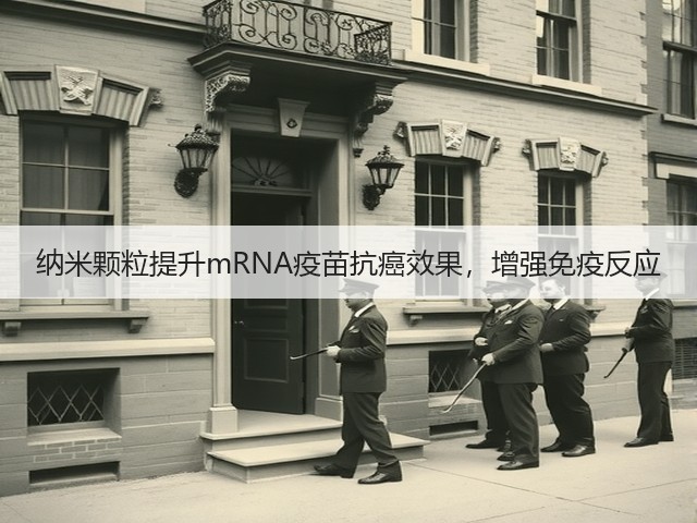 纳米颗粒提升mRNA疫苗抗癌效果，增强免疫反应(图3)