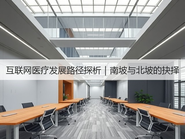 互联网医疗发展路径探析｜南坡与北坡的抉择(图2)