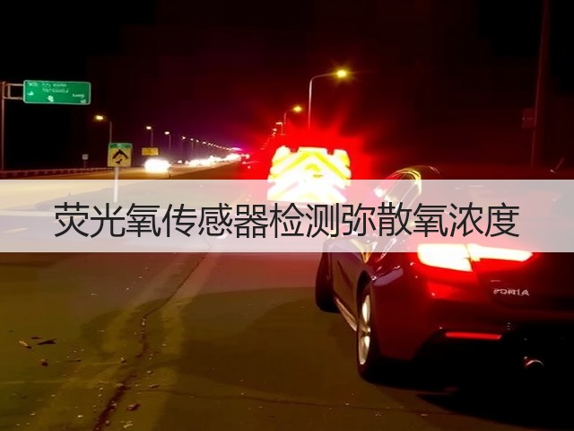 荧光氧传感器检测弥散氧浓度(图1)