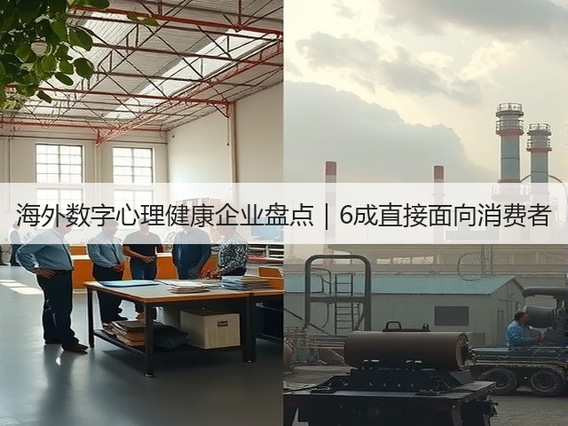 海外数字心理健康企业盘点｜6成直接面向消费者(图3)