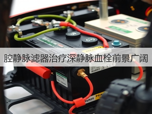 腔静脉滤器治疗深静脉血栓前景广阔(图1)
