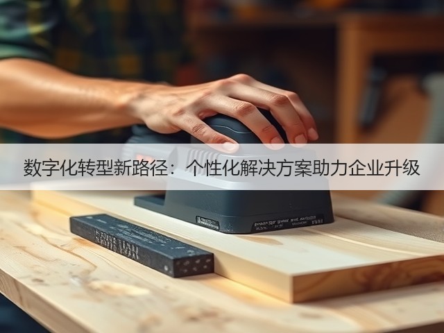 数字化转型新路径：个性化解决方案助力企业升级(图1)
