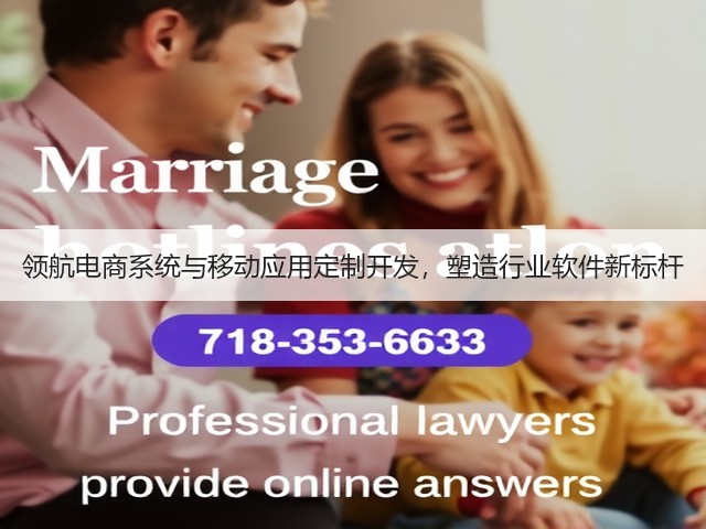 领航电商系统与移动应用定制开发，塑造行业软件新标杆(图1)