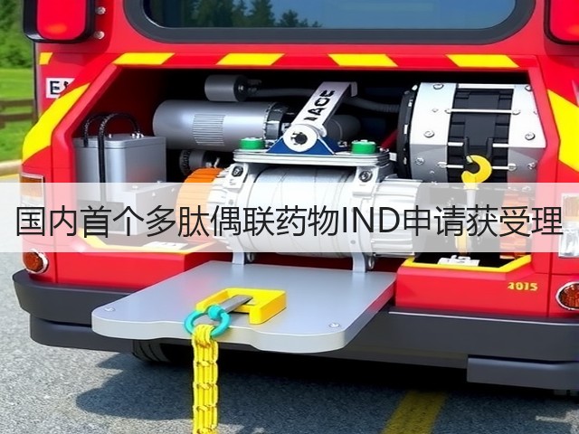 国内首个多肽偶联药物IND申请获受理(图3)
