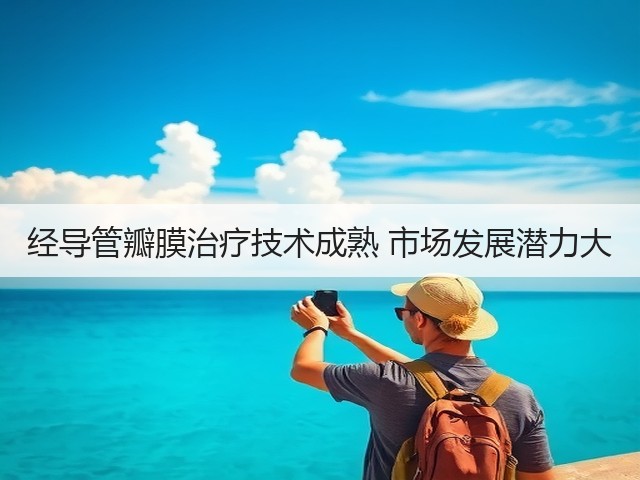 经导管瓣膜治疗技术成熟 市场发展潜力大(图3)