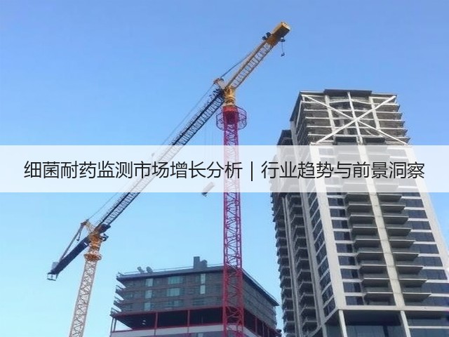细菌耐药监测市场增长分析｜行业趋势与前景洞察(图1)
