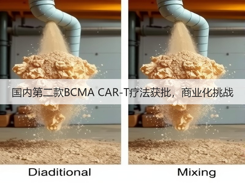 国内第二款BCMA CAR-T疗法获批，商业化挑战