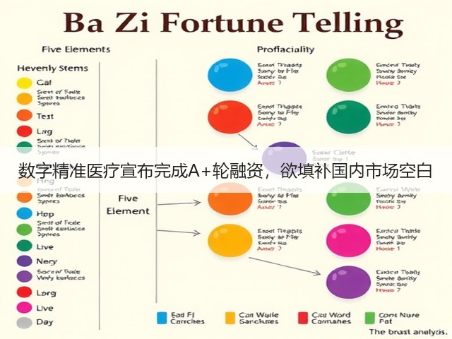 数字精准医疗宣布完成A+轮融资，欲填补国内市场空白(图2)
