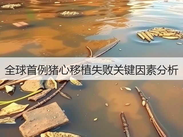 全球首例猪心移植失败关键因素分析(图3)