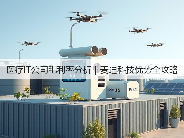 医疗IT公司毛利率分析｜麦迪科技优势全攻略(图2)