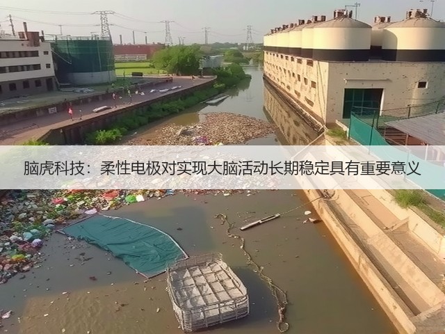 脑虎科技:柔性电极对实现大脑活动长期稳定具有重要意义(图1) 脑虎科技:柔性电极对实现大脑活动长期稳定具有重要意义(图1)