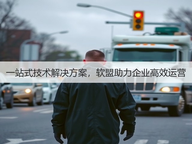 一站式技术解决方案，软盟助力企业高效运营(图2)