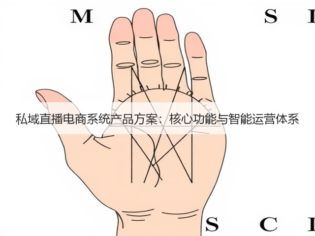 私域直播电商系统产品方案：核心功能与智能运营体系(图1)