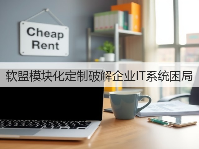软盟模块化定制破解企业IT系统困局(图2)