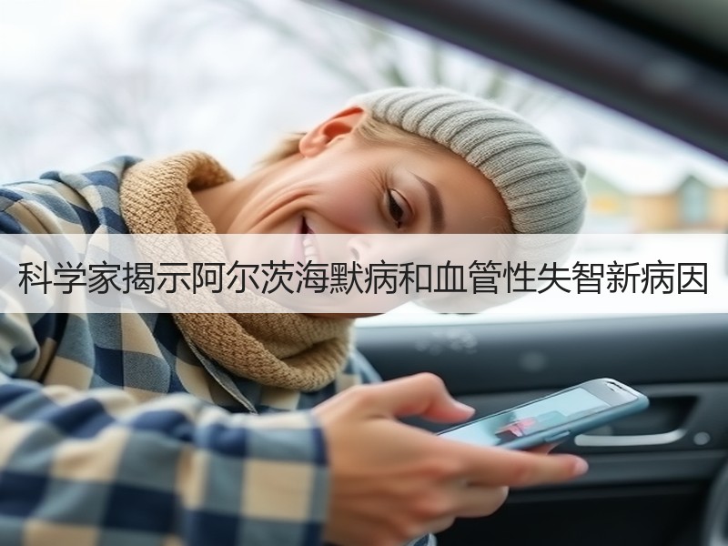 科学家揭示阿尔茨海默病和血管性失智新病因