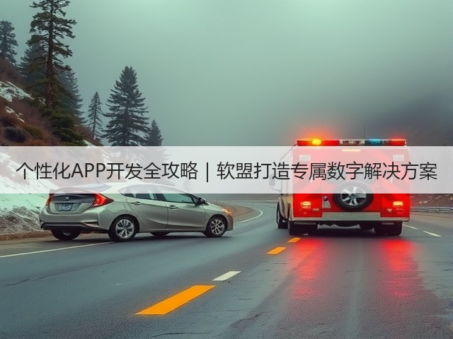 个性化APP开发全攻略｜软盟打造专属数字解决方案(图3)
