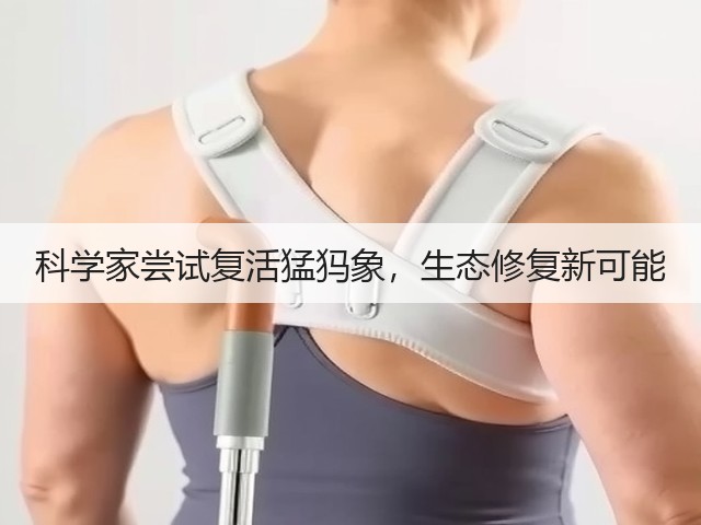 科学家尝试复活猛犸象，生态修复新可能(图1)